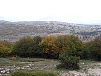 Плато Ай-Петри. Середина октября 2007 года
